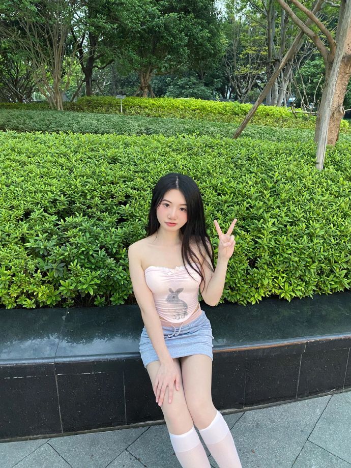 阿甘正传 封面